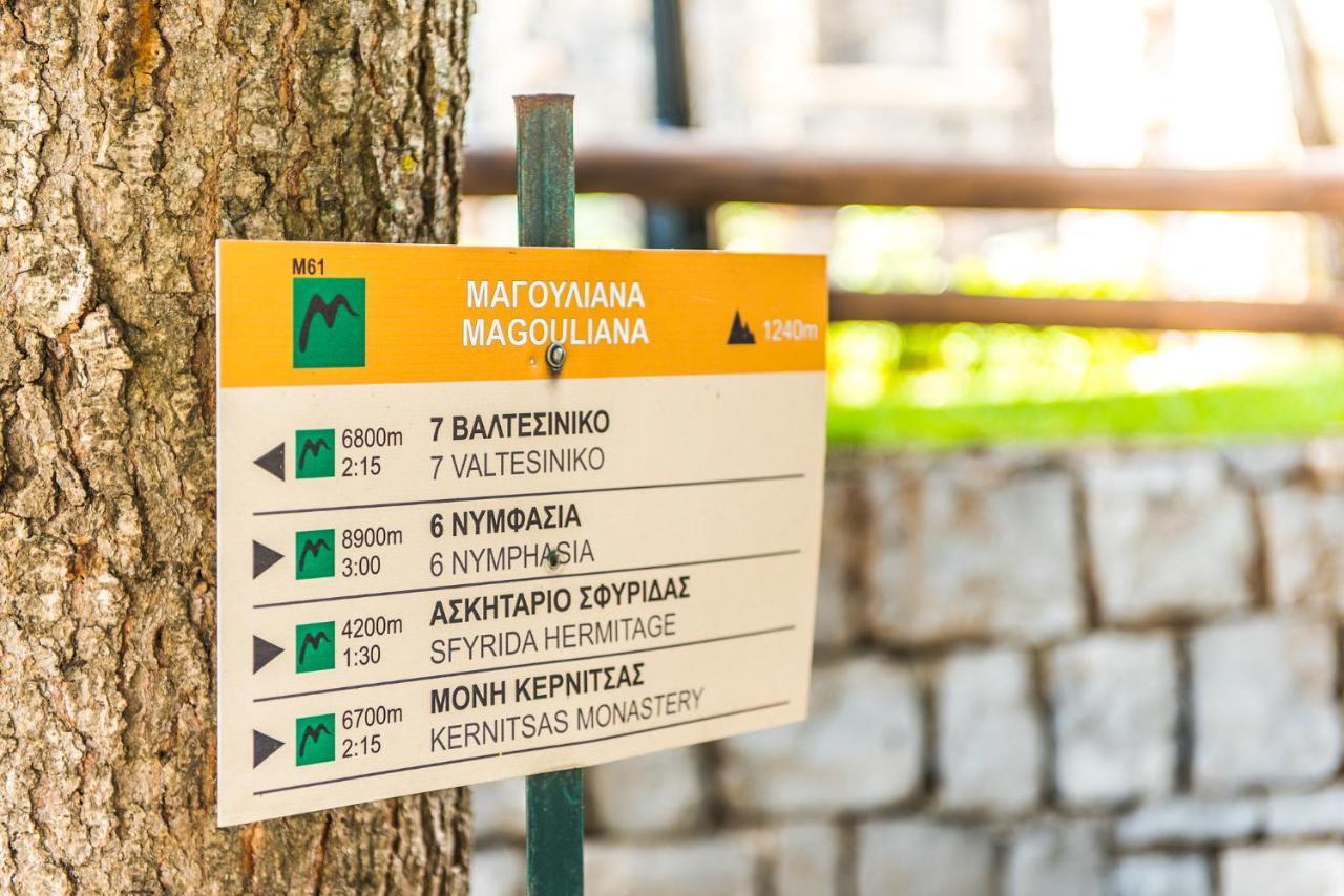 Apartamento «Σκλάβας Χνάρι» Παραδοσιακός Ξενώνας Magouliana Exterior foto