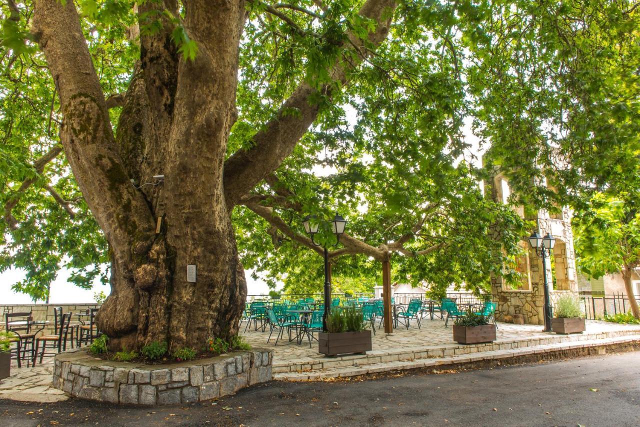 Apartamento «Σκλάβας Χνάρι» Παραδοσιακός Ξενώνας Magouliana Exterior foto